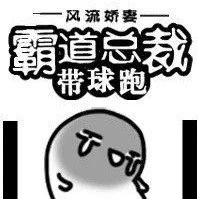 奇番《霸道总裁带球跑》黎明与破晓[现代情感]