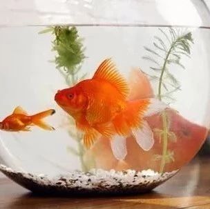 会把家中财运掏空的家居风水