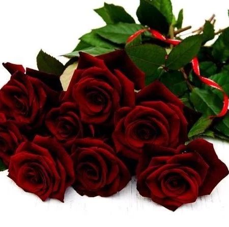 情感测试:选出你最喜欢的玫瑰,测出TA是否会一直爱你到老