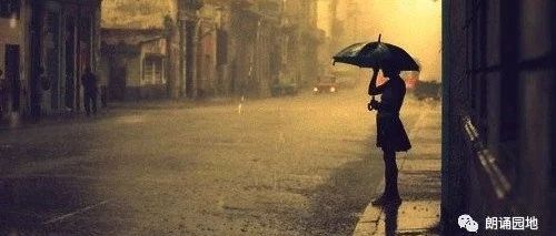 【情感美文】等你,在雨中