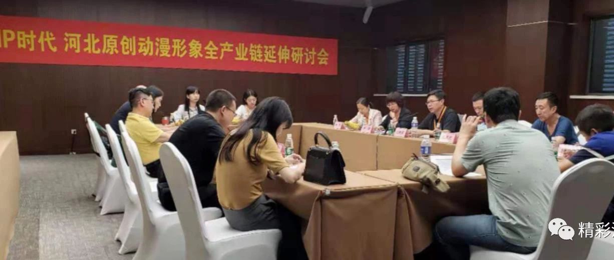 河北原创动漫IP如何全产业链布局,听听这些“大咖”怎么说……