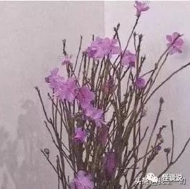 情感句子语录,句句精辟