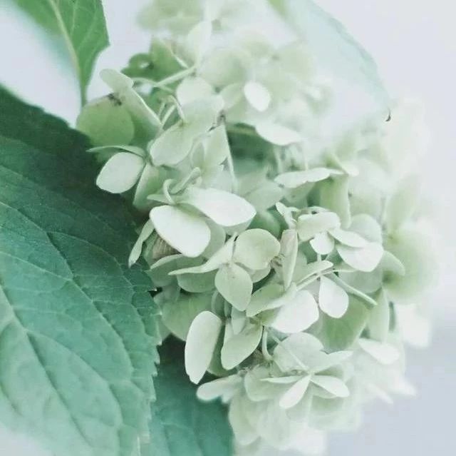情感语录:孤独伤感永远不要存在于心底,做一个心灵纯净的人