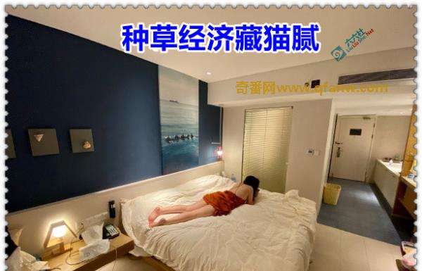 奇番“种草经济藏猫腻” 被央视曝光的2点原因