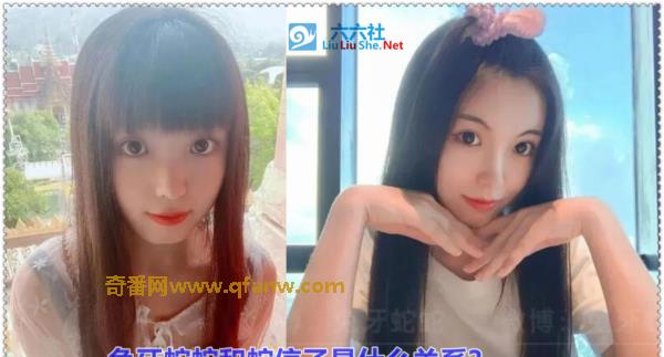 抖音兔牙蛇蛇是谁？ 兔牙蛇蛇和蛇信子是什么关系？