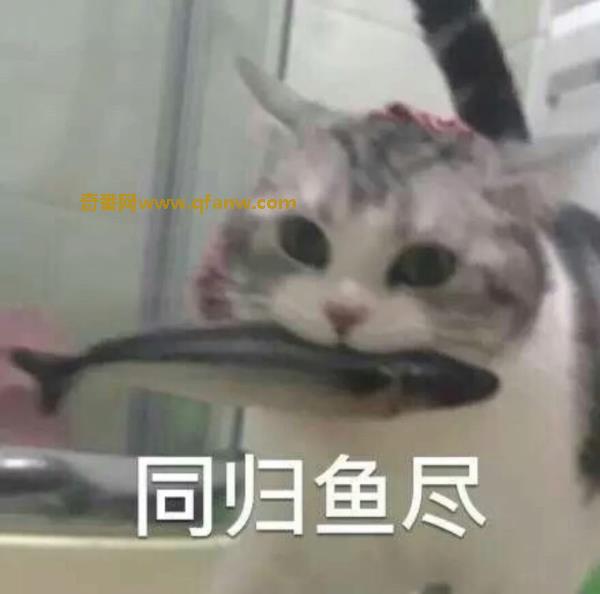 谭维维的老公陈亦飞个人资料 谭维维花臂纹身怎么没有了