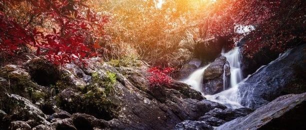 潘新安:我把情感当成了事实