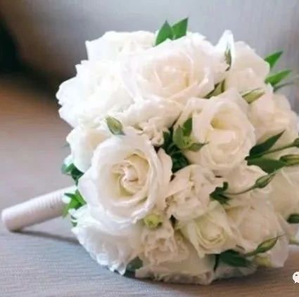 情感测试:凭直觉选一束喜欢的手捧花,测TA对你是真心还是暧昧