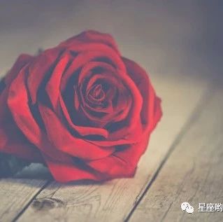 12星座8月11日运势