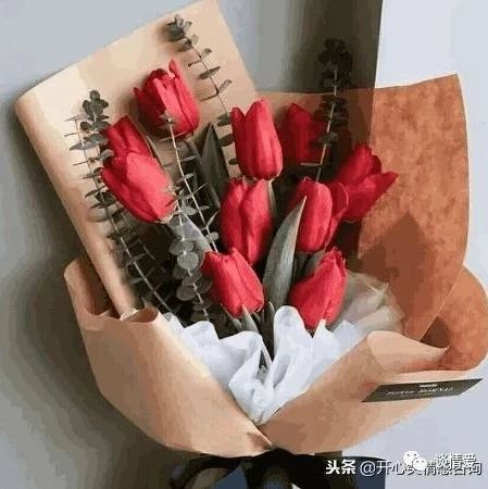 情感测试:你会选哪束花送爱人?秒测ta为什么会喜欢你?超级准