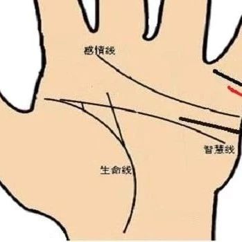 手相婚姻线看你的婚姻情感状况!