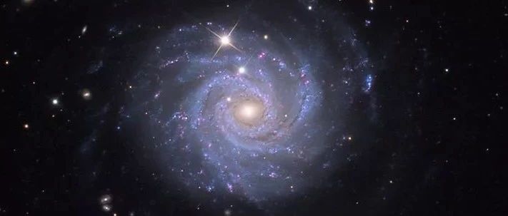 相信命运,而不是星座