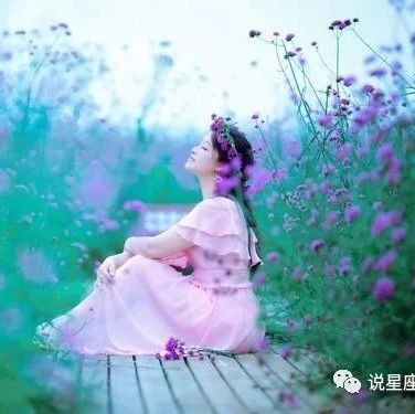 致十二星座:双子是双面精灵,水瓶是个解密者,你呢