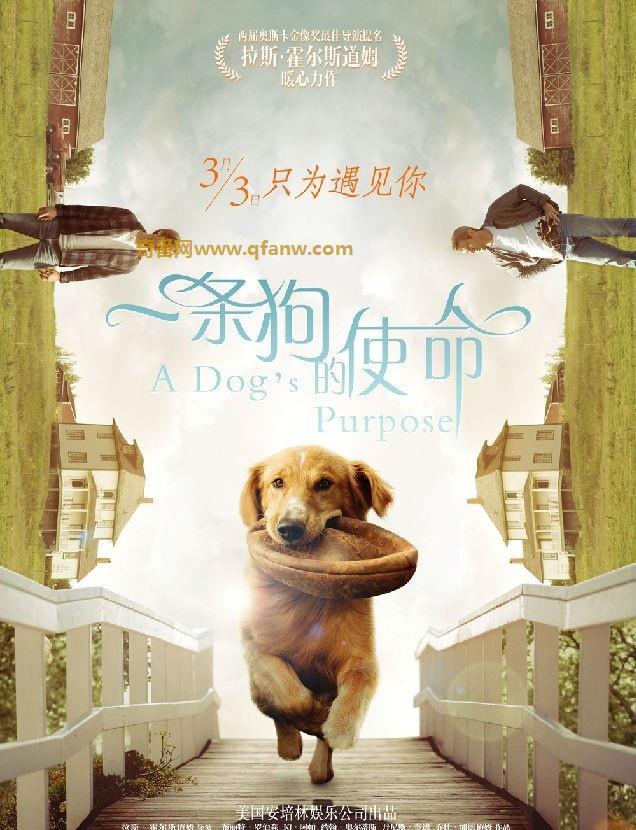 2017喜剧剧情《一条狗的使命》720p.BD中英双字 – 内容介绍：