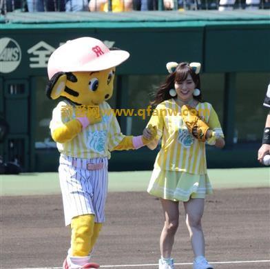 NMB48可爱猫耳美少女 山本彩