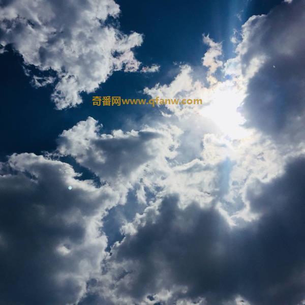 拥有纯正偶像血统的艾薇少女-飞鸟铃相关资料介绍